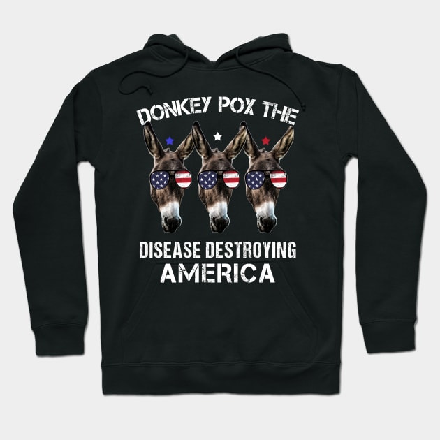 Donkey Pox The Disease Destroying America Funny Anti Biden Hoodie by mo designs 95